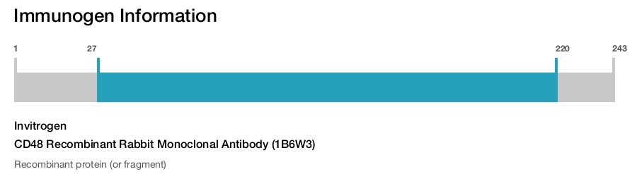 CD48 Recombinant Rabbit Monoclonal Antibody (1B6W3)