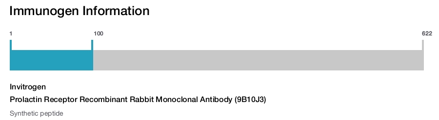 Prolactin Receptor Recombinant Rabbit Monoclonal Antibody (9B10J3)