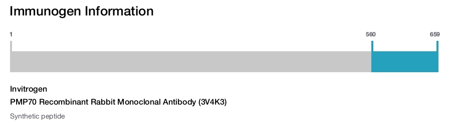 PMP70 Recombinant Rabbit Monoclonal Antibody (3V4K3)