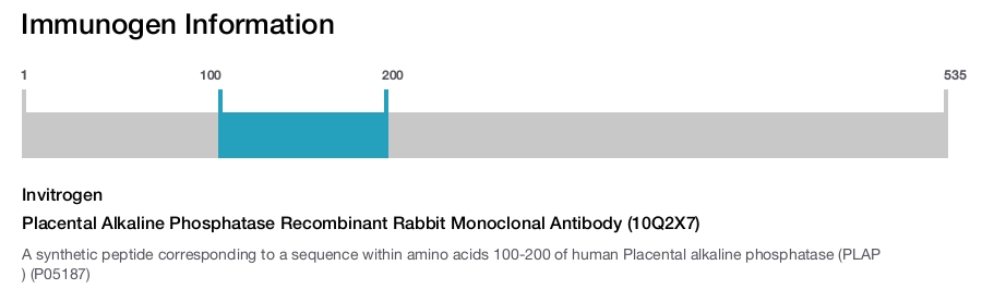 Placental Alkaline Phosphatase Recombinant Rabbit Monoclonal Antibody (10Q2X7)