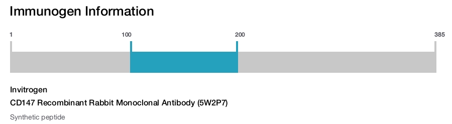 CD147 Recombinant Rabbit Monoclonal Antibody (5W2P7)