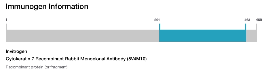 Cytokeratin 7 Recombinant Rabbit Monoclonal Antibody (5V4M10)