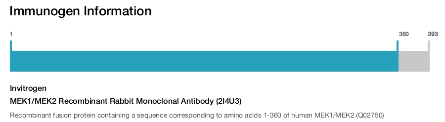 MEK1/MEK2 Recombinant Rabbit Monoclonal Antibody (2I4U3)