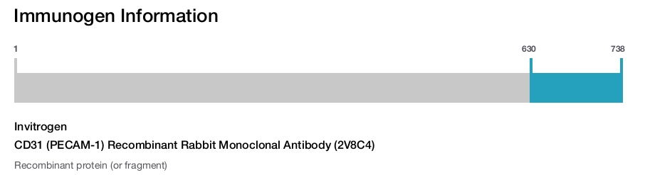 CD31 (PECAM-1) Recombinant Rabbit Monoclonal Antibody (2V8C4)