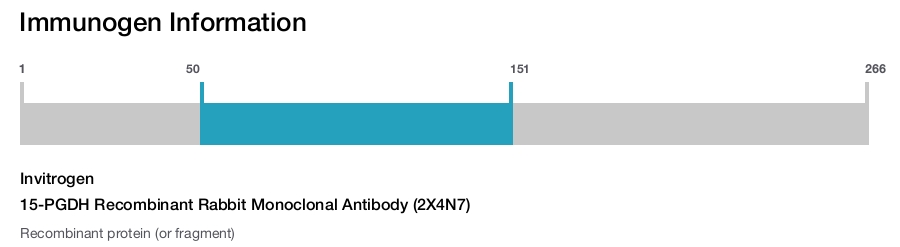 15-PGDH Recombinant Rabbit Monoclonal Antibody (2X4N7)