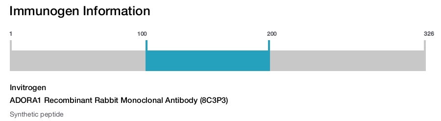 ADORA1 Recombinant Rabbit Monoclonal Antibody (8C3P3)