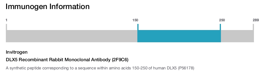 DLX5 Recombinant Rabbit Monoclonal Antibody (2F9C6)