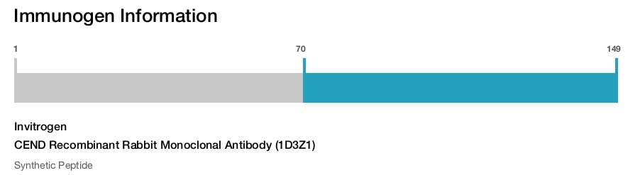 CEND Recombinant Rabbit Monoclonal Antibody (1D3Z1)
