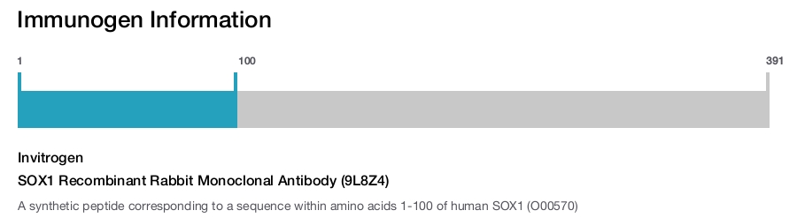 SOX1 Recombinant Rabbit Monoclonal Antibody (9L8Z4)