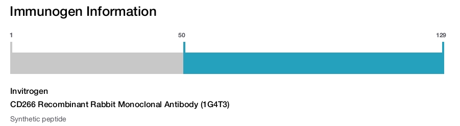 CD266 Recombinant Rabbit Monoclonal Antibody (1G4T3)