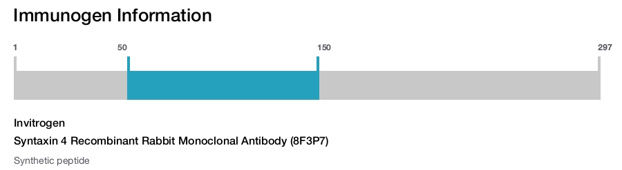 Syntaxin 4 Recombinant Rabbit Monoclonal Antibody (8F3P7)