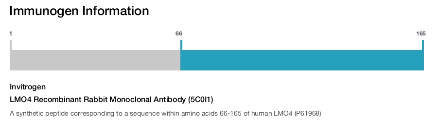 LMO4 Recombinant Rabbit Monoclonal Antibody (5C0I1)