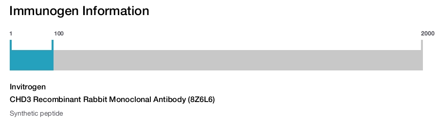 CHD3 Recombinant Rabbit Monoclonal Antibody (8Z6L6)