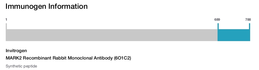 MARK2 Recombinant Rabbit Monoclonal Antibody (6O1C2)