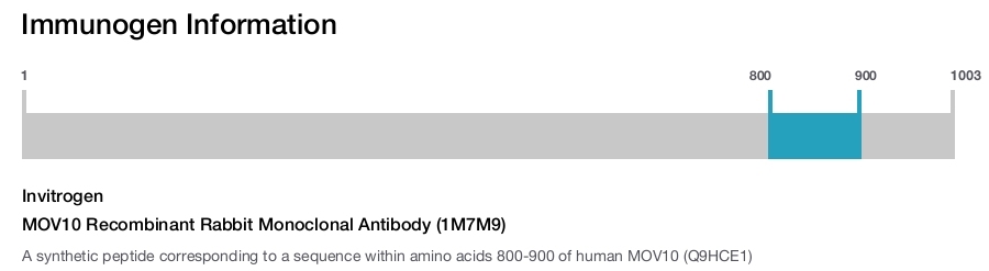 MOV10 Recombinant Rabbit Monoclonal Antibody (1M7M9)