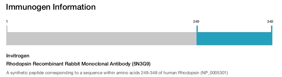 Rhodopsin Recombinant Rabbit Monoclonal Antibody (5N3G9)