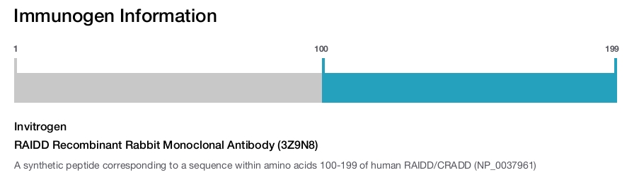 RAIDD Recombinant Rabbit Monoclonal Antibody (3Z9N8)