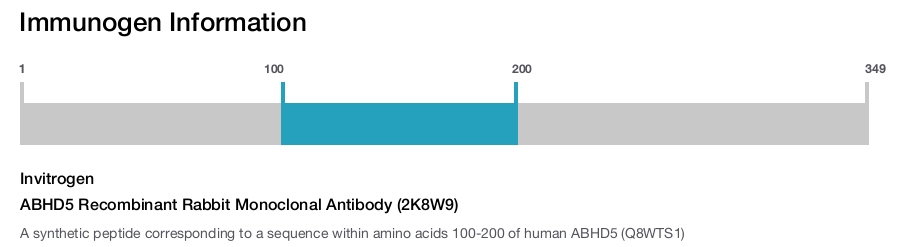 ABHD5 Recombinant Rabbit Monoclonal Antibody (2K8W9)