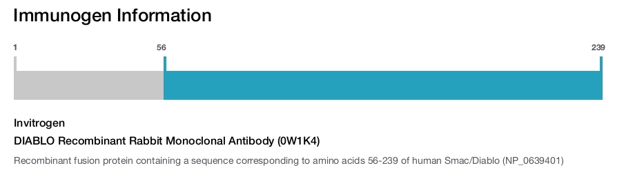 DIABLO Recombinant Rabbit Monoclonal Antibody (0W1K4)