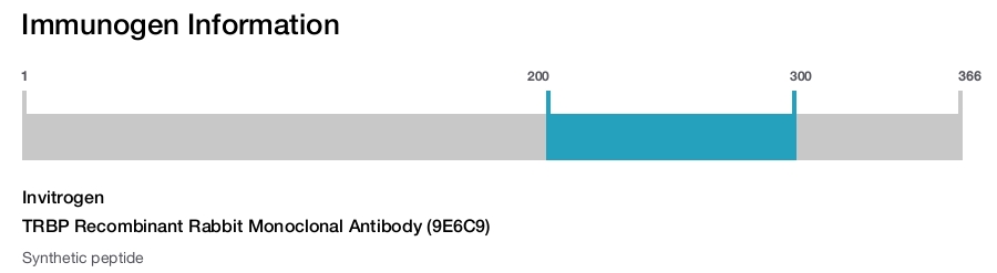 TRBP Recombinant Rabbit Monoclonal Antibody (9E6C9)