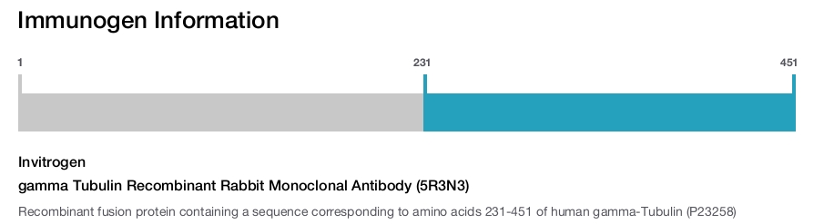 gamma Tubulin Recombinant Rabbit Monoclonal Antibody (5R3N3)