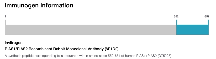 PIAS1/PIAS2 Recombinant Rabbit Monoclonal Antibody (8P1D2)