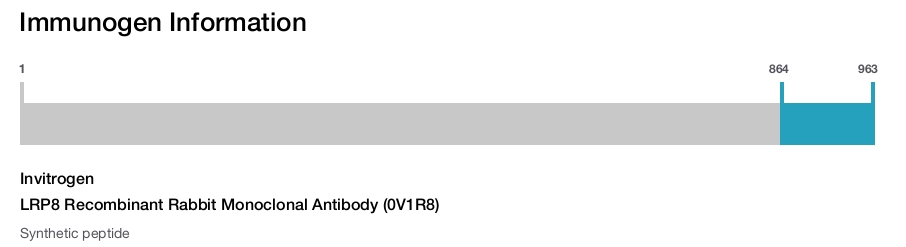 LRP8 Recombinant Rabbit Monoclonal Antibody (0V1R8)
