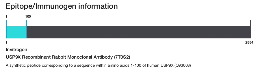 USP9X Recombinant Rabbit Monoclonal Antibody (7T0S2)