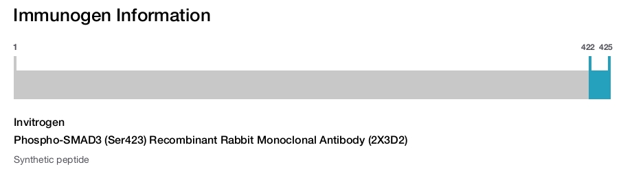 Phospho-SMAD3 (Ser423) Recombinant Rabbit Monoclonal Antibody (2X3D2)
