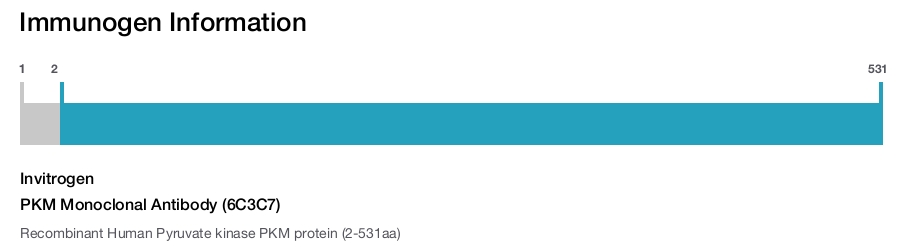 PKM Monoclonal Antibody (6C3C7)