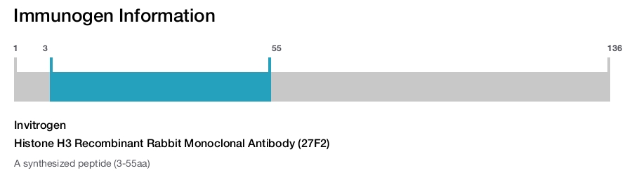 Histone H3 Recombinant Rabbit Monoclonal Antibody (27F2)