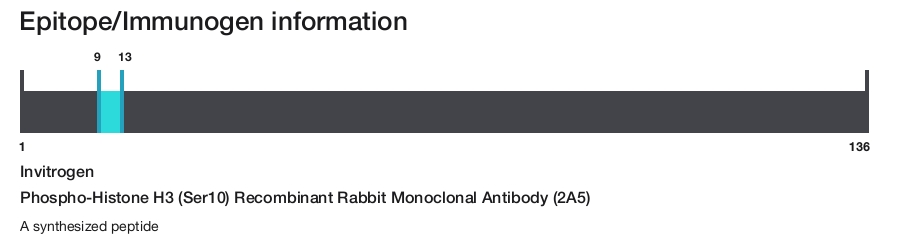 Phospho-Histone H3 (Ser10) Recombinant Rabbit Monoclonal Antibody (2A5)