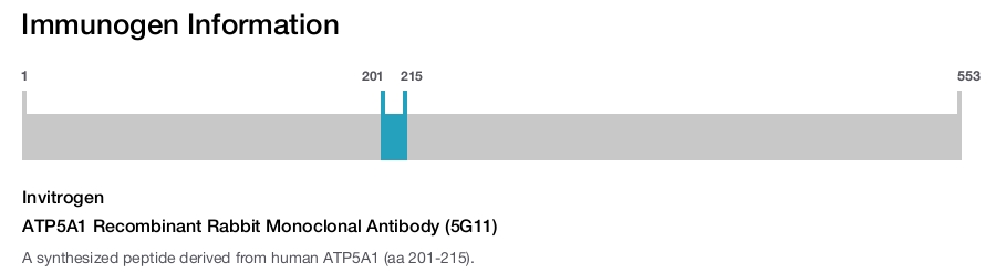 ATP5A1 Recombinant Rabbit Monoclonal Antibody (5G11)