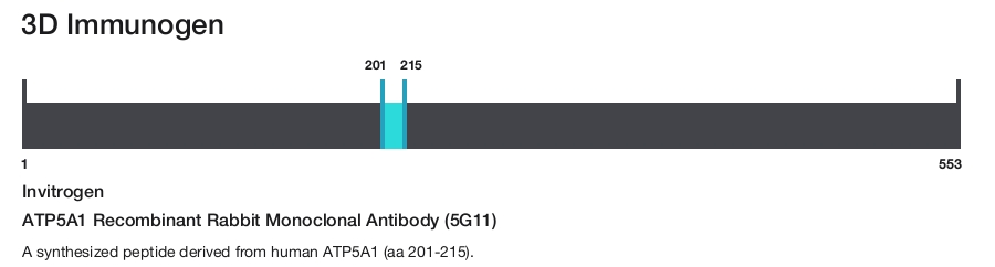 ATP5A1 Recombinant Rabbit Monoclonal Antibody (5G11)