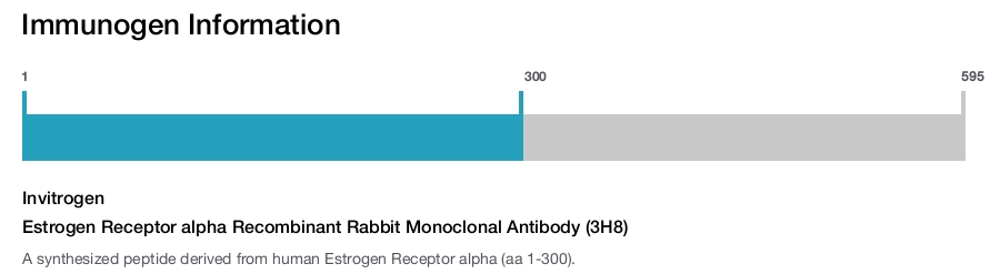 Estrogen Receptor alpha Recombinant Rabbit Monoclonal Antibody (3H8)