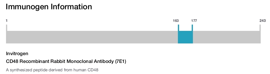 CD48 Recombinant Rabbit Monoclonal Antibody (7E1)
