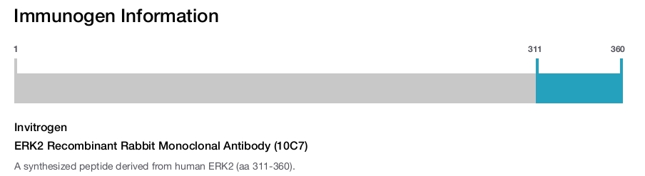 ERK2 Recombinant Rabbit Monoclonal Antibody (10C7)