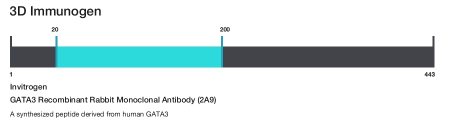 GATA3 Recombinant Rabbit Monoclonal Antibody (2A9)