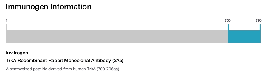 TrkA Recombinant Rabbit Monoclonal Antibody (2A5)