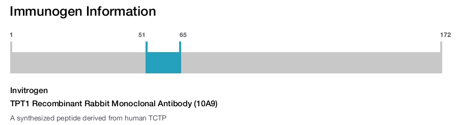 TPT1 Recombinant Rabbit Monoclonal Antibody (10A9)