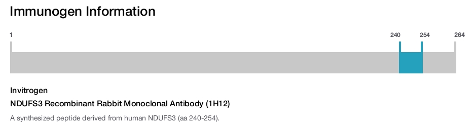 NDUFS3 Recombinant Rabbit Monoclonal Antibody (1H12)