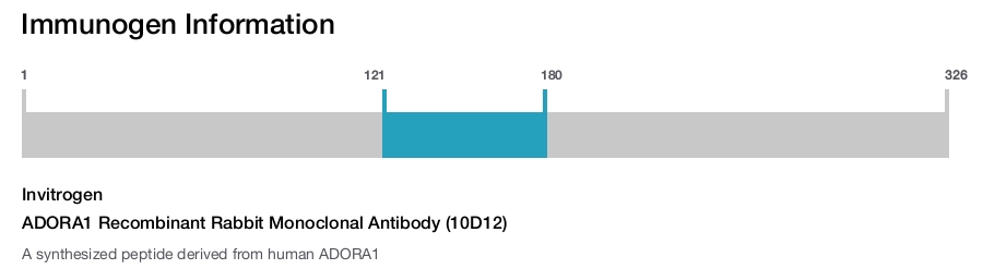 ADORA1 Recombinant Rabbit Monoclonal Antibody (10D12)