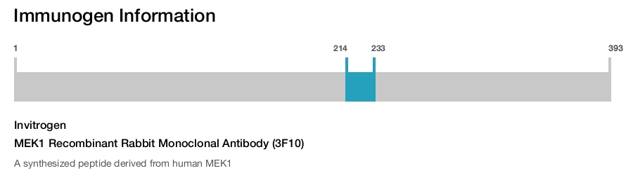 MEK1 Recombinant Rabbit Monoclonal Antibody (3F10)