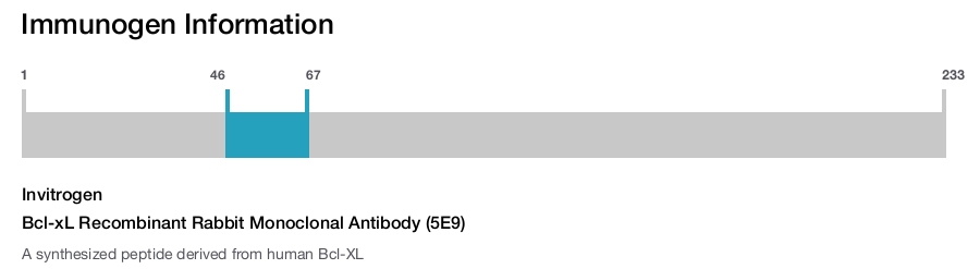 Bcl-xL Recombinant Rabbit Monoclonal Antibody (5E9)