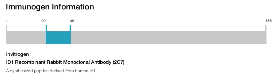ID1 Recombinant Rabbit Monoclonal Antibody (2C7)