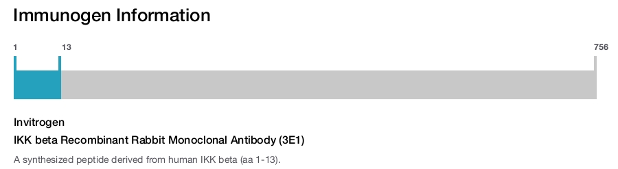 IKK beta Recombinant Rabbit Monoclonal Antibody (3E1)
