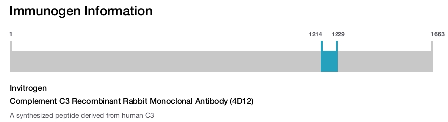 Complement C3 Recombinant Rabbit Monoclonal Antibody (4D12)