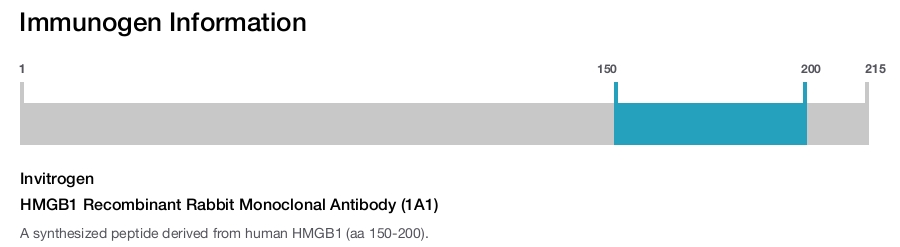 HMGB1 Recombinant Rabbit Monoclonal Antibody (1A1)