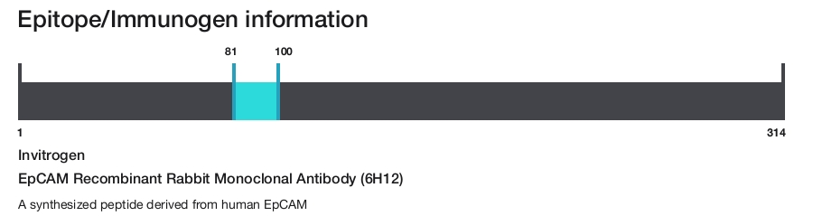 EpCAM Recombinant Rabbit Monoclonal Antibody (6H12)