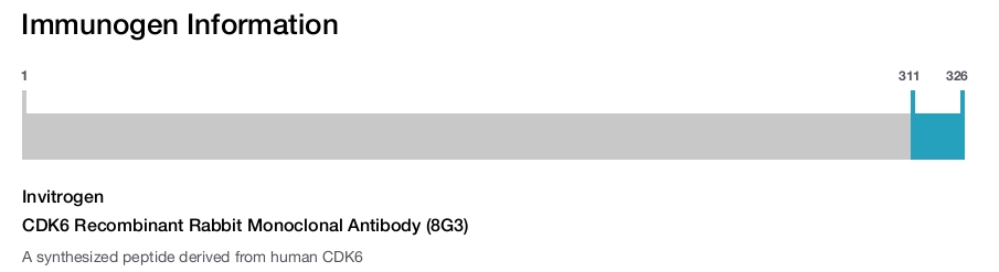 CDK6 Recombinant Rabbit Monoclonal Antibody (8G3)